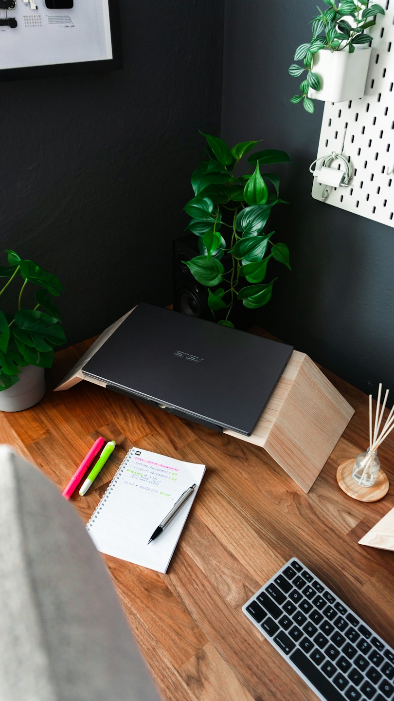 Modern home office desk with laptop and indoor plants.