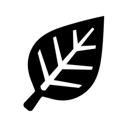 Cedarloom Media